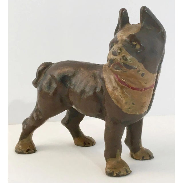 C1910 Hubley Bulldog Cast Iron Penny Bank - For Sale - Image 10 of 11