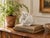 A charming antique white bisque porcelain swan planter, distinguished by its gracefully curved neck, beautifully modelled...