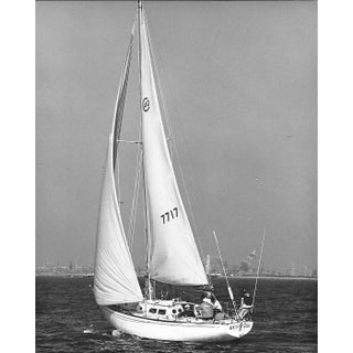 1975 Sailboat San Pedro California Photograph by Don Ware For Sale