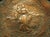 Highly Worked 19th Century Ceremonial Repousse Copper Hotte From France For Sale - Image 4 of 16