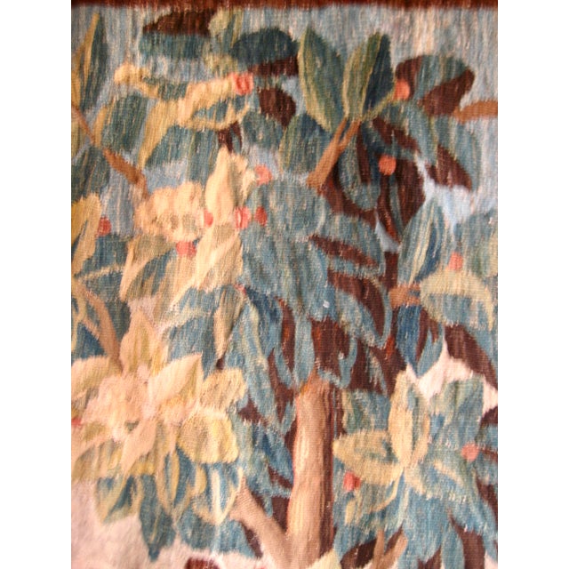 Aubusson Verdure Tapestry Birds and Cheery Trees Circa 17 Hundreds For Sale - Image 11 of 16