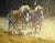 Fallow Fields by Lani Vlaanderen | Oil Painting of two horses plowing a field. For Sale