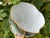 Gold Art Nouveau Collectible Chocolate Cup and Saucer in Eggshell Porcelain with Gold Trim, France, 1890s, Set of 2 For Sale - Image 8 of 10