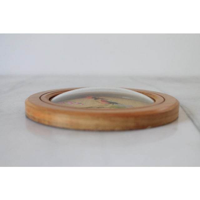 Mid 20th Century Vintage Feather Art Bird Wall Hangings For Sale - Image 5 of 7