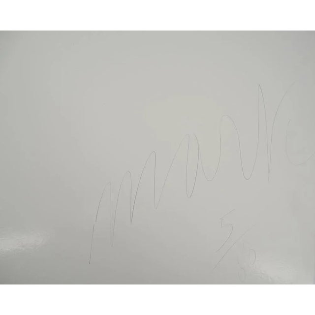 Martial Raysse, Energy of the Workshop, Original Screenprint For Sale - Image 7 of 8