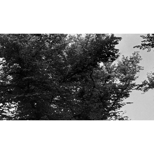 Traditional Friedrichsplatz Square at the Inner City of Kassel, Germany, 1937, 2021 For Sale - Image 3 of 5