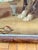 Early 20th Century Antique Victorian “The Pet’s Toilet” Girl & Dog Framed Color Print For Sale - Image 5 of 8