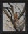 The artwork depicts a young girl perched on a gnarled tree branch, her expression contemplative and serene. The organic...