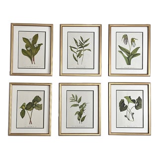 Framed Botanical Prints -Set of 6-1978 Wild Flower Prints For Sale