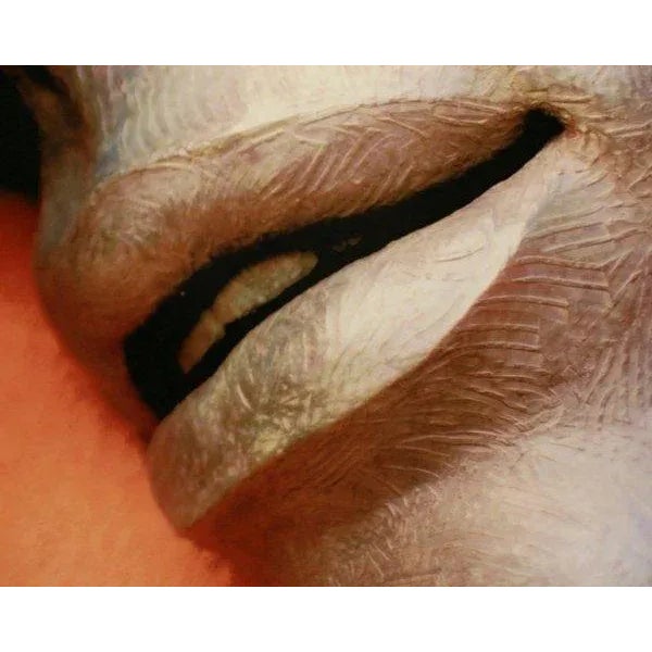 2010 "Lips" Color Photograph on Digital Paper by Maria Grazia Facciolà For Sale In New York - Image 6 of 10