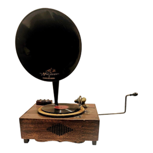 Antique Magnavox Gramophone Vitrola Victor Record Player 1920