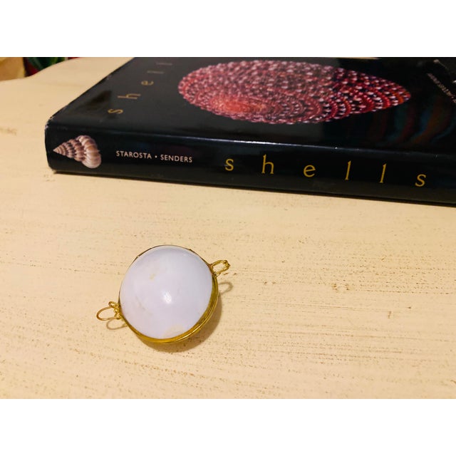 Ivory Vintage Pearlized Shell Trinket Box For Sale - Image 8 of 9