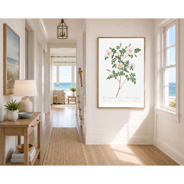 Vintage botanical artwork reproduced from Les Roses by Pierre-Joseph Redouté and refined for modern printing. Featuring De...