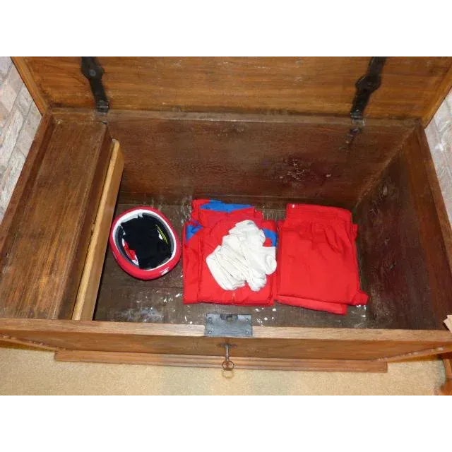 Antique German Trunk For Sale In Minneapolis - Image 6 of 13