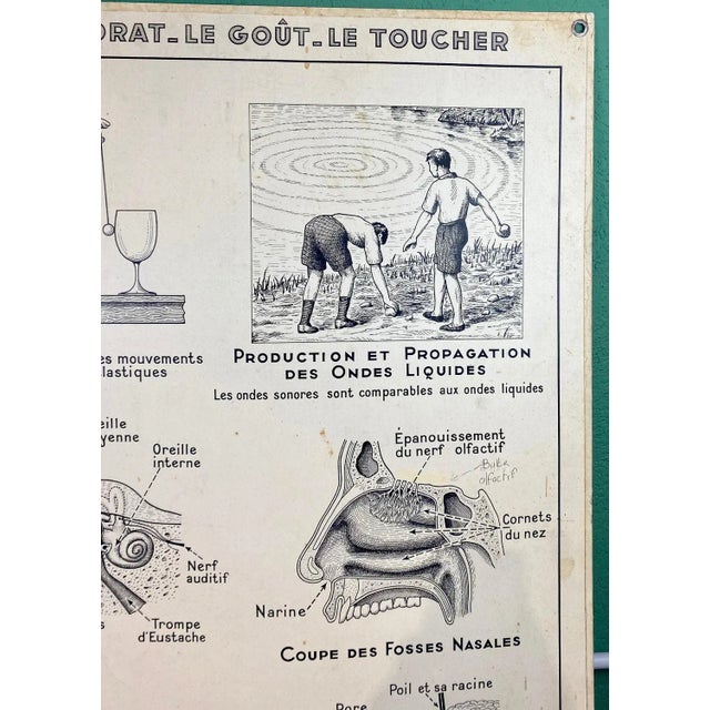 1960s Vintage Cardboard Senses Poster For Sale - Image 5 of 15