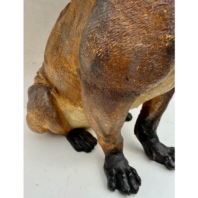 Large 19th Century English Cold-Painted Terracotta Bulldog Figure With Glass Eyes For Sale - Image 13 of 17
