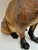 Large 19th Century English Cold-Painted Terracotta Bulldog Figure With Glass Eyes For Sale - Image 13 of 17