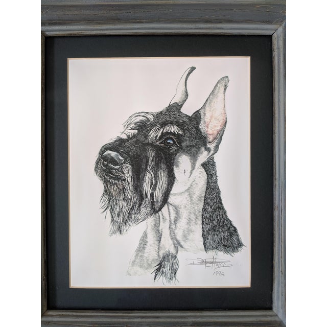Vintage Original Schnauzer Dog Portrait Signed and Dated For Sale - Image 9 of 12