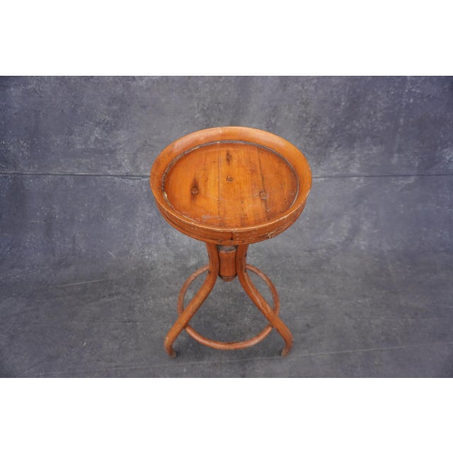 Late 19th Century Thonet-Style Bentwood Plant Stand For Sale - Image 5 of 6