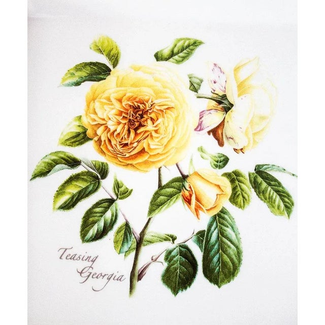 1980s Portmeirion Botanic Garden Square Dinner Plate - Teasing Georgia For Sale - Image 4 of 6