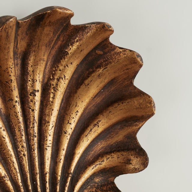 1920s Group of Four Antique Italian Seashell and Seahorse Wall Brackets For Sale - Image 5 of 18