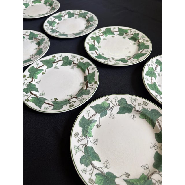 Classical Roman 1940s Wedgewood Napoleon Ivy Plates - Set of 9 For Sale - Image 3 of 8