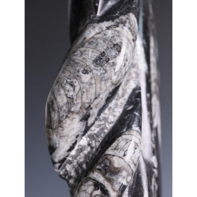 Hand-Carved Orthoceras Fossil Sculptures in Black Limestone, Morocco, Set of 2 For Sale - Image 12 of 15