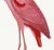 Roseate Spoonbill Poster Styled After Olof Rudbeck For Sale - Image 4 of 4