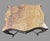 Early 20th Century Antique French Louis XV Style Marble Top Carved Walnut Center Side Ta For Sale - Image 5 of 7
