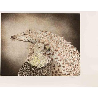 Benito Trolese, Eagle and Horse, 1990s, Etching For Sale