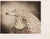 Benito Trolese, Eagle and Horse, 1990s, Etching For Sale