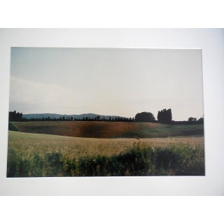 Joel Meyerowitz, Tuscany, Hillside, 1996, 1996 For Sale