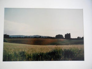 Joel Meyerowitz, Tuscany, Hillside, 1996, 1996