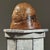 Contemporary Vintage Abstract Organic Modern Burl Wood Sculpture For Sale - Image 3 of 10