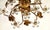 Italian Gold Leaf-Plated Metal and Crystal 2-Light Ceiling Light, 1960s For Sale - Image 4 of 7