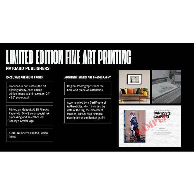 Banksy's Graffiti Art "Seagull Riding a Dumpster" Limited Edition Lithographic Print For Sale - Image 4 of 9