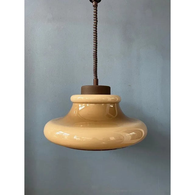 Mid-Century Mushroom Pendant Lamp from Herda For Sale - Image 11 of 11