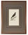 Early 19th Century 1828 French Raptor Gallery by Jean-Charles Werner | Set of 6 Hand-Colored Lithographs, Framed For Sale - Image 5 of 12