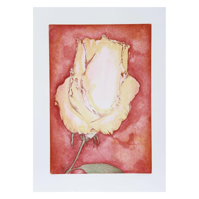 Hank Laventhol Aquatint Etching - Yellow Rose For Sale
