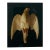 Brenda Zlamany, Birds, Cibachrome Photograph Print, Signed Conceptual Art For Sale