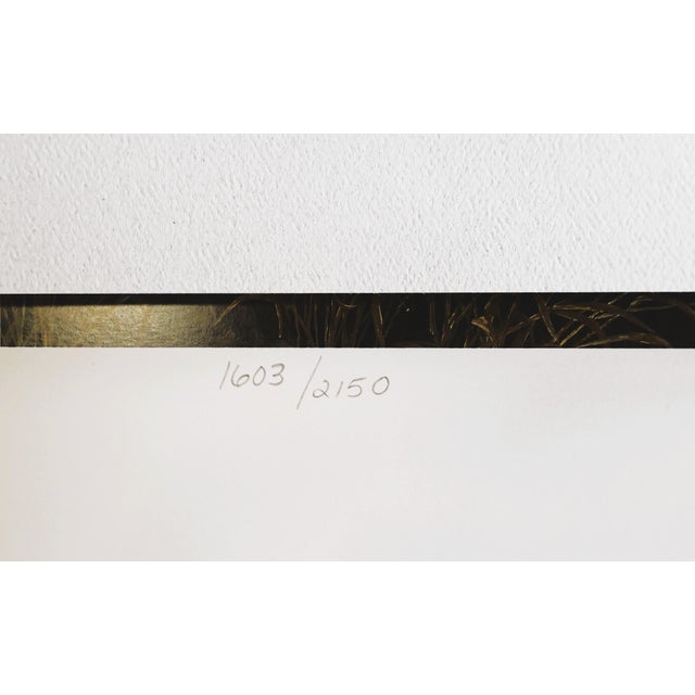 Paper 1990s Larry Zach "Old Rivals III ~ Whitetail" Signed, Numbered, Le Wildlife Print For Sale - Image 7 of 9