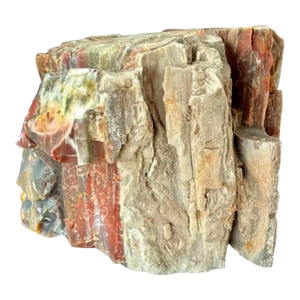 Natural Petrified Wood Specimen. #1