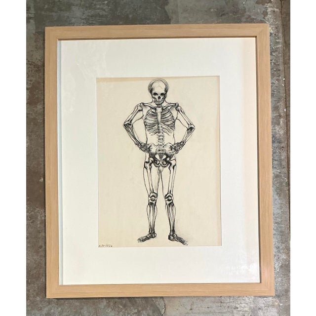 Vintage Framed Skeleton Study on Paper For Sale - Image 11 of 12