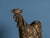 Unknown, Rooster, 1979, Bronze For Sale - Image 3 of 7