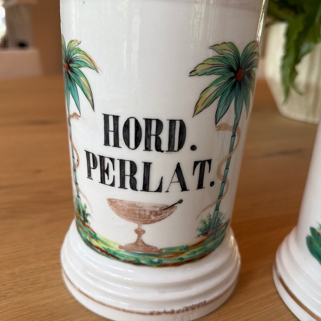 White Set of 4 Antique Porcelain Apothecary Jars With Hand Painted Palm Tree and Serpent Decoration For Sale - Image 8 of 12
