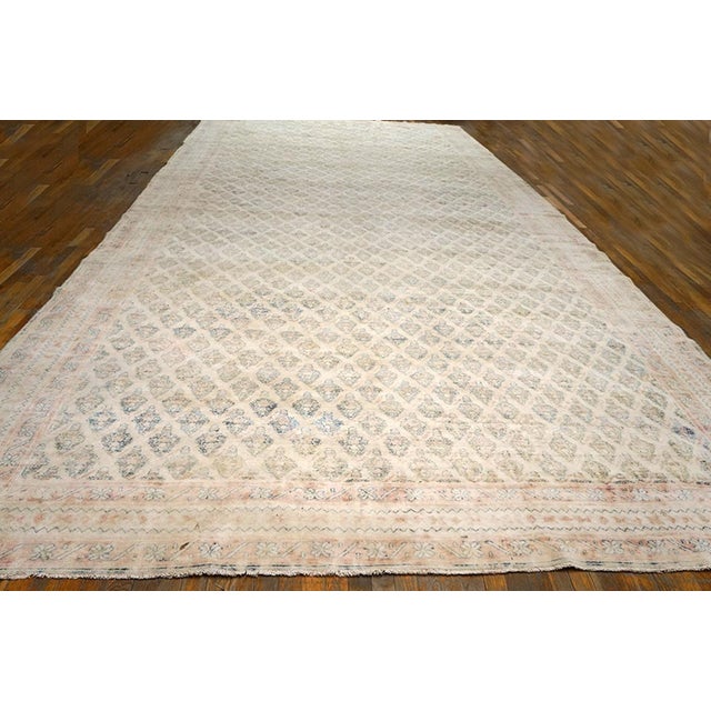 Early 20th Century Indian Cotton Agra Carpet ( 9'8" x 21'2" - 295 x 645 )