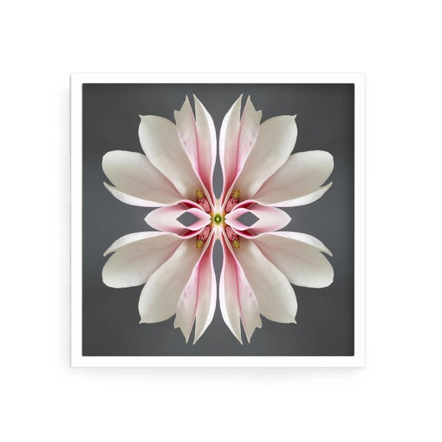 Not Yet Made - Made To Order "No. 77" Contemporary Original Op Art Botanical Limited Edition Photograph Print by Erin Derby For Sale - Image 5 of 7