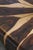 Petala Coffee Table in Cocobolo Wood by Jorge Zalszupin for l'Atelier Brazil, 1959 For Sale - Image 6 of 10