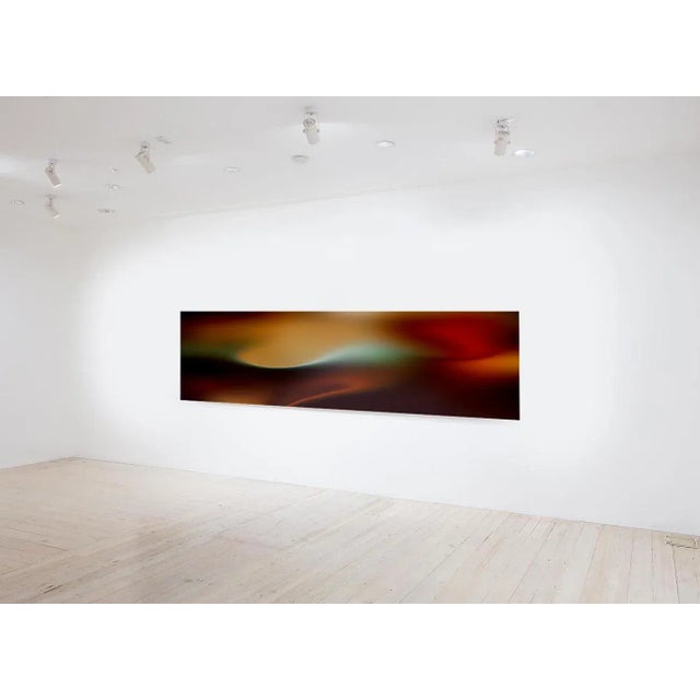 Paul Snell Contemporary Abstract Chromogenic Print Photography "Bleed # 202150" by Paul Snell For Sale - Image 4 of 5