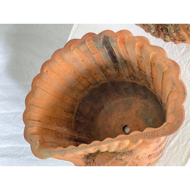 French Antique Set of Three Terracotta Large Shell Planters, 1940s For Sale - Image 11 of 18